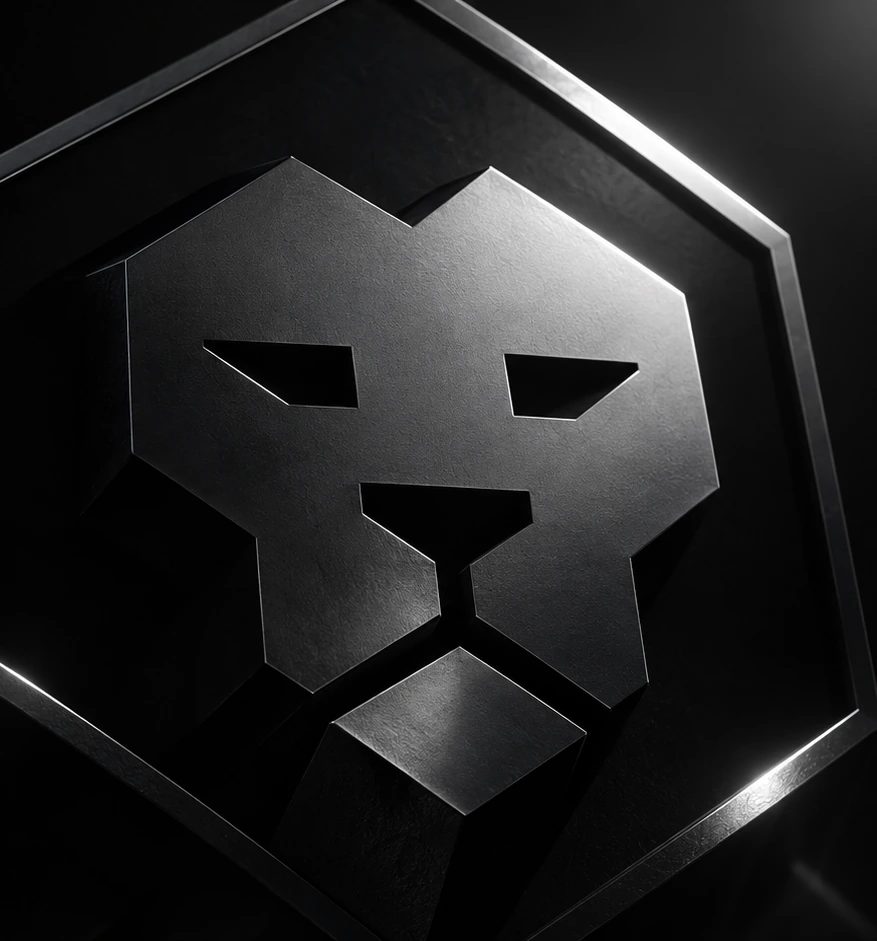 Lion Obsidienne, identité Leo Software
